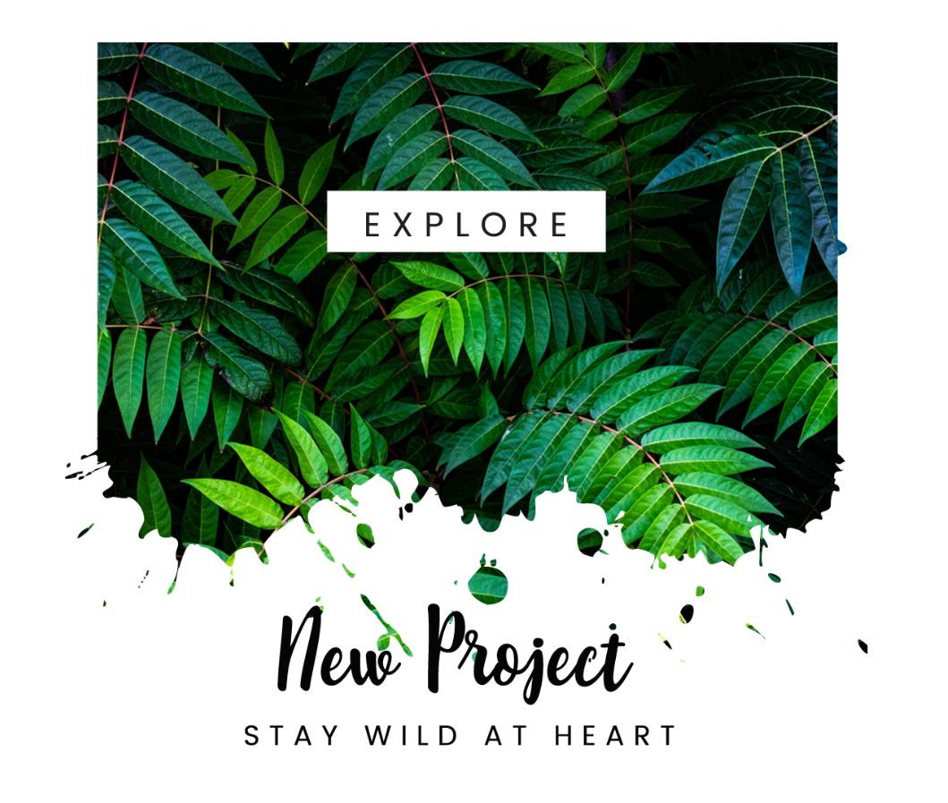 Project